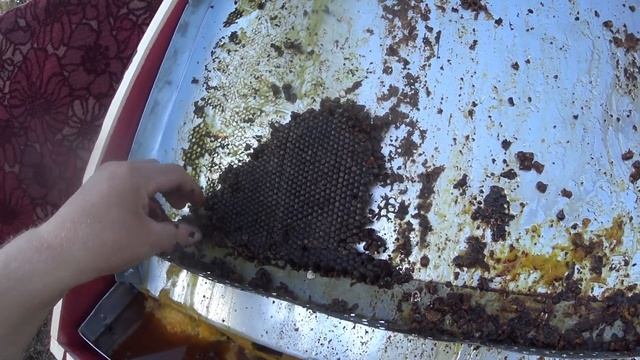 СОЛНЕЧНАЯ ВОСКОТОПКА В ДЕЙСТВИИ. смотреть онлайн