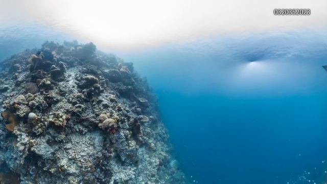 0320351542 смотреть онлайн