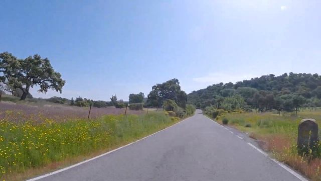 ¿Es la Trek Domane +SLR 2024 la mejor bicicleta eléctrica para recorridos largos? смотреть онлайн