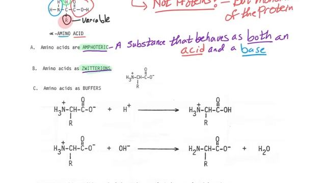 100U5p20-22 protein Amino Acids basics смотреть онлайн