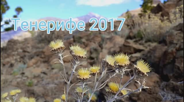 Небесное притяжение