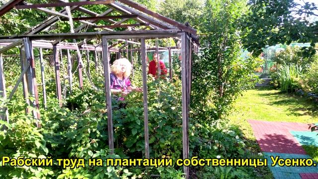 65 лет Викман Александр Викторович