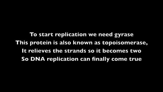 DNA Replication (Rack City mix) смотреть онлайн