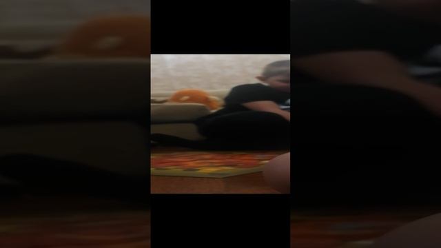 VID_20241109_154946.mp4 смотреть онлайн