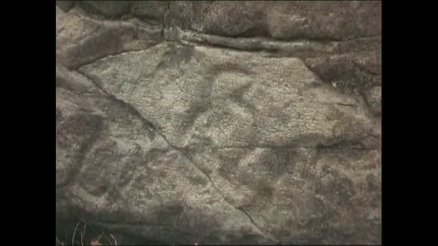 К истокам цивилизации смотреть онлайн