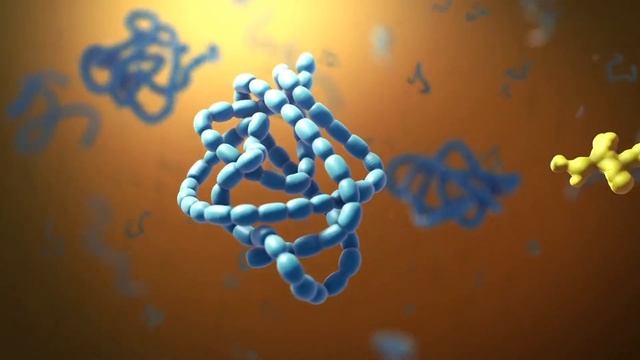 Біологія. Підготовка до ЗНО. Органели еукаріотичних клітин. смотреть онлайн