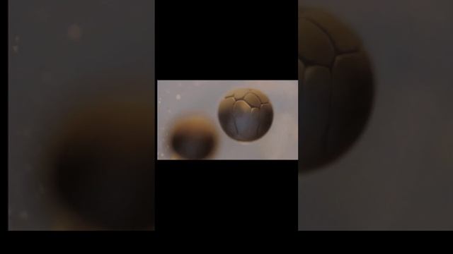 Cell division смотреть онлайн