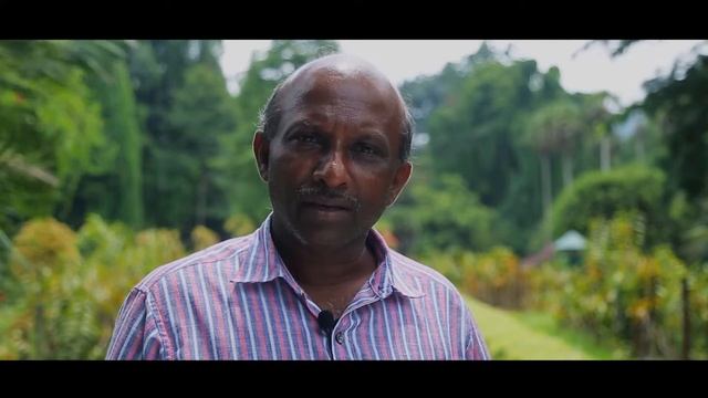Sri Lanka In Style - Royal Botanical Gardens смотреть онлайн