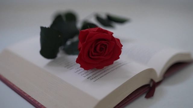 Перизат Мырзахмет. Өмірдің аты М #аудиокітап смотреть онлайн