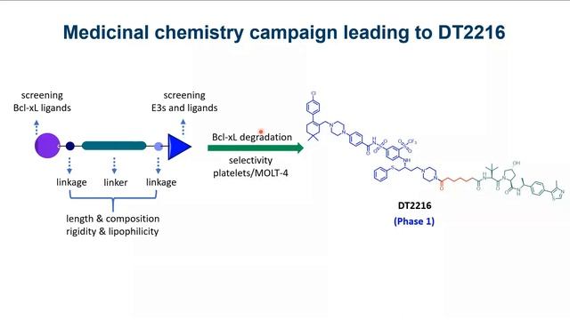 Webinar - PROTACs and Their Application in Cancer Therapeutics смотреть онлайн
