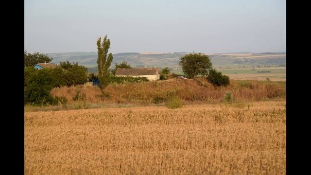 А я выйду на вулицу смотреть онлайн