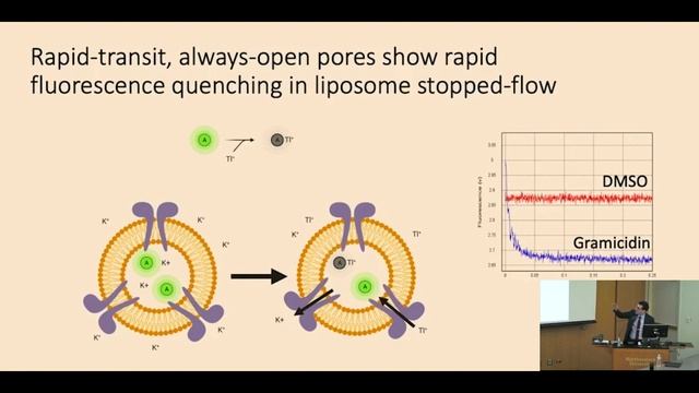 APOL1-Associated Kidney Diseases - Joshua Waitzman, MD, PhD смотреть онлайн