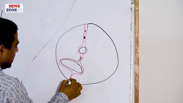 Development of Liver & Biliary Apparatus II Dr. Sk. Amin Mohi Uddin Assi. Prof. II Anatomy II ASWMC смотреть онлайн