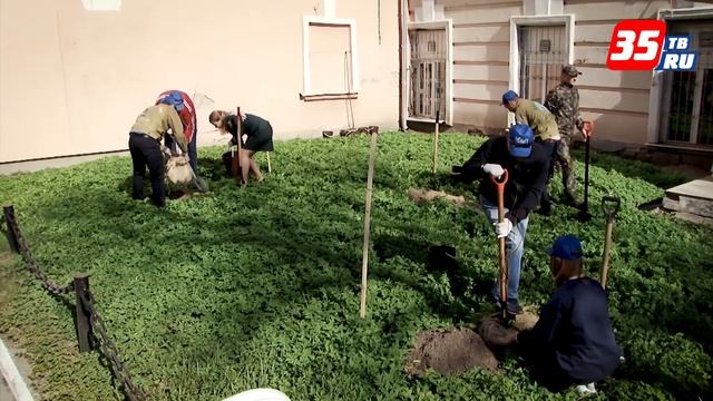 Этой весной на Вологодчине будет высажено более полумиллиона деревьев смотреть онлайн