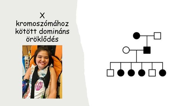 Genetika 13.rész: Családfaelemzés смотреть онлайн