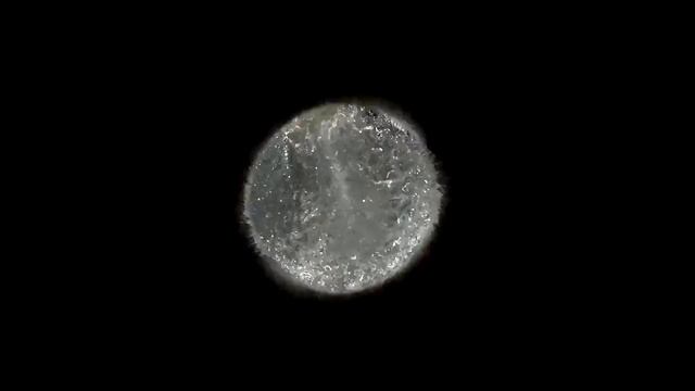 Видеофон для сайта бытовая техника быттехника смотреть онлайн