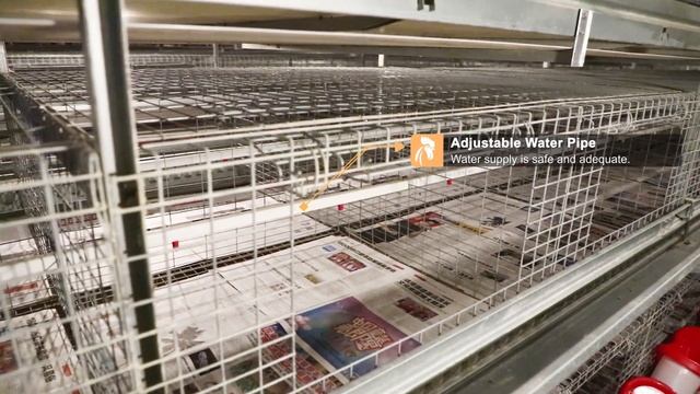 Let the survival rate of baby chicks reach 98% - RETECH Farming Chicken Cage смотреть онлайн