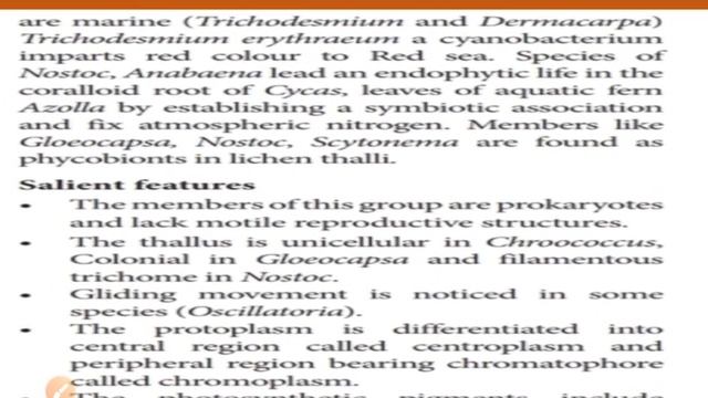 Economic importance of bacteria смотреть онлайн