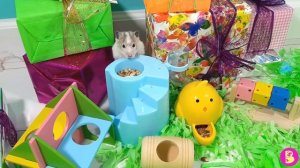 РАСПАКОВАЛИ ЦЕЛЫЙ ГОРОДОК** ХОМЯЧКИ ТЕСТЯТ НОВУЮ ИГРОТЕКУ