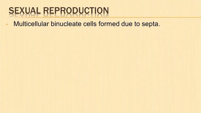 Genus Peziza | Fungus | Apothecium | Asexual and Sexual Reproduction | Life Cycle | Botany Mycology смотреть онлайн