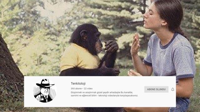 Konuşan İlk Hayvan ! - İşaret Dili ve Şempanze Washoe смотреть онлайн