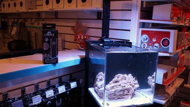 The Best Aquarium Heater \\ Cobalt NeoTherm Review смотреть онлайн