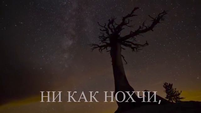 Орстхой , Карабулаки ,Вайнахи  , Чеченцы , Ингуши , Кавказ