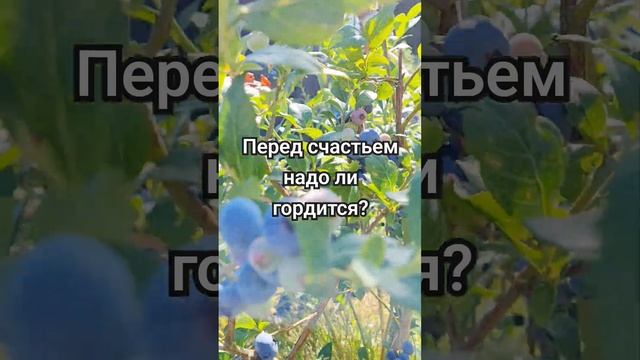 Ни чего... #стихиожизни #стихиолюбви #поэзия #стихотворение #стихи #любовь #music смотреть онлайн