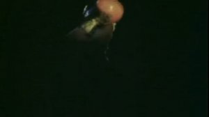 Deep Purple - Strange Kind Of Woman (перевод субтитры)