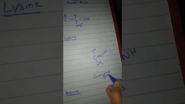 Basic amino acids смотреть онлайн