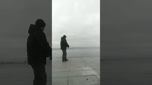 Рыбалка на отважной поводок смотреть онлайн