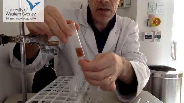 Quick Guide To Performing Ion Exchange Chromatography