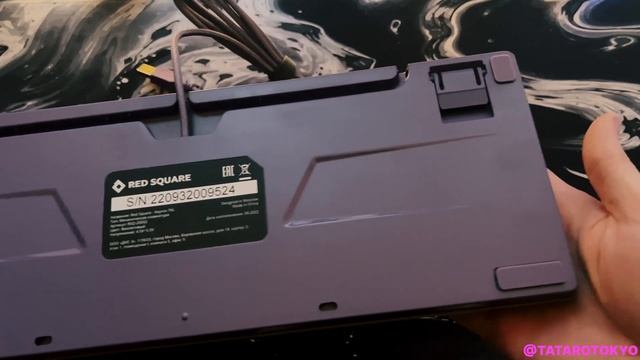 Распаковка Red Square Keyrox TKL Purple (G3ms Sapphire) смотреть онлайн