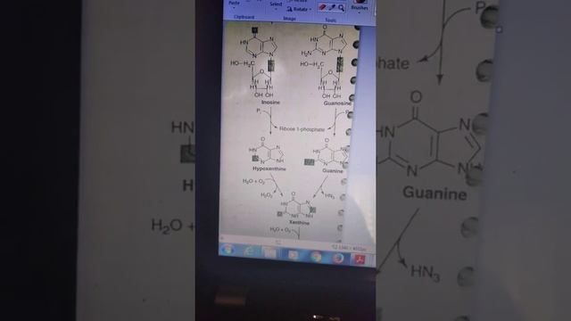 Synthesis of Uric Acid- Part 2 смотреть онлайн