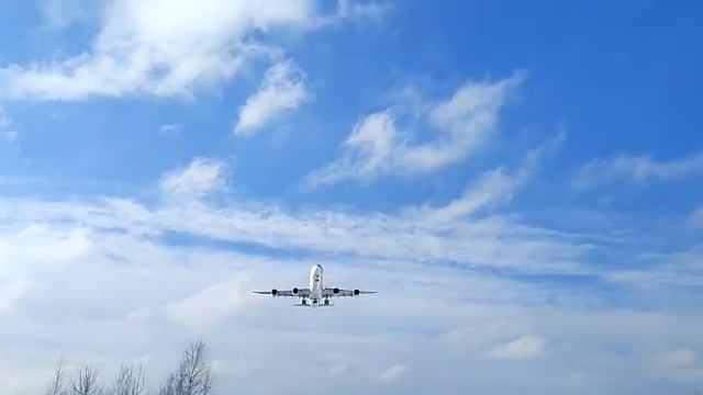 Венесуэльский А340-600 | посадка во Внуково 🛬🇻🇪 смотреть онлайн