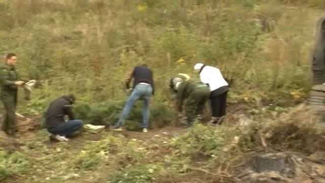 3. «Наш лес. Посади свое дерево» смотреть онлайн