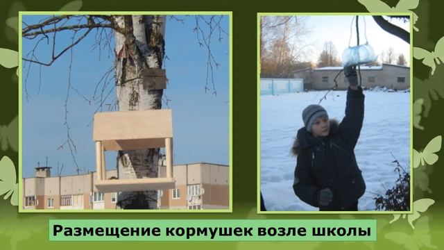 Презентация зеленые школы смотреть онлайн