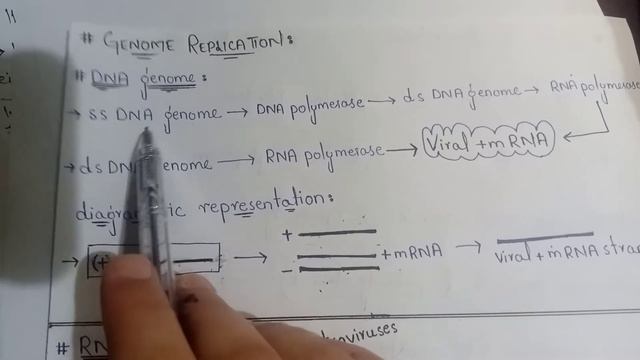 genome replication @omamashahmedicos9964 смотреть онлайн