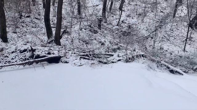 Winter ❄️ season in South Korea . Snowing heavily the temperature 🤒 is -13• . Jungle hiking 🥾 смотреть онлайн