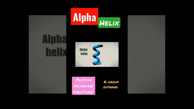 Alpha Helix. secondary structure of protein смотреть онлайн