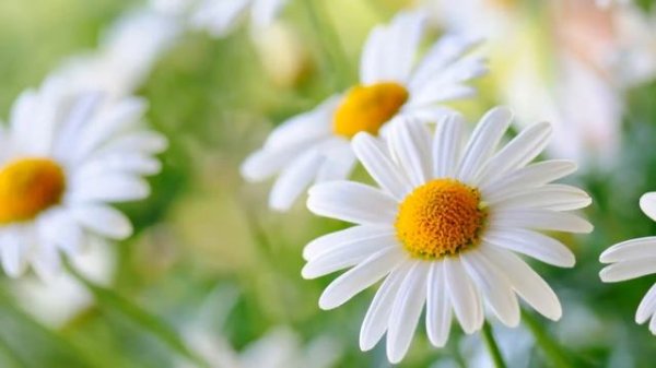 English Spelling. Rules of the reading AIR, ARE, ERE, IRE