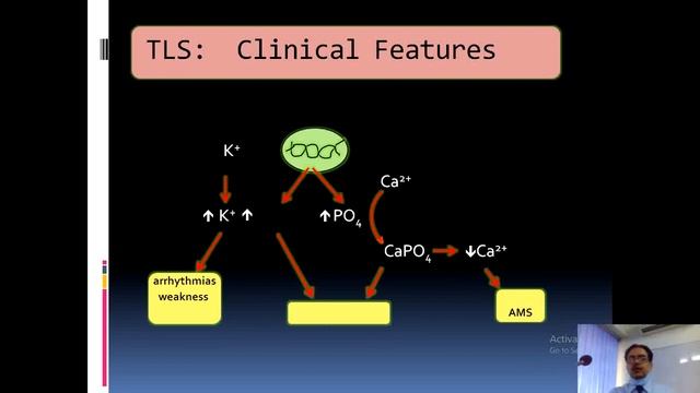 Lecture of Dr. Muhammad Latif for 4th year MBBS on topic Acute leukemia AML and ALL смотреть онлайн