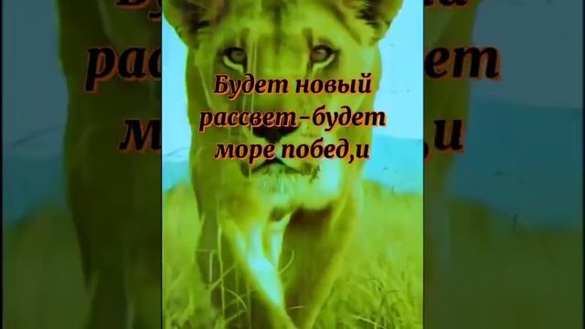 Действуйте ещё не поздно,не надо долго думать , действуй и у тебя всё получится, действуй!!! смотреть онлайн