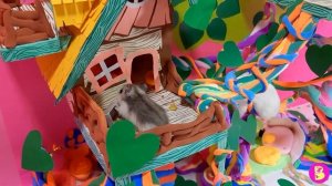 ДОМИК на ДЕРЕВЕ** РУМ ТУР по ДОМИКУ ХОМЯЧКА