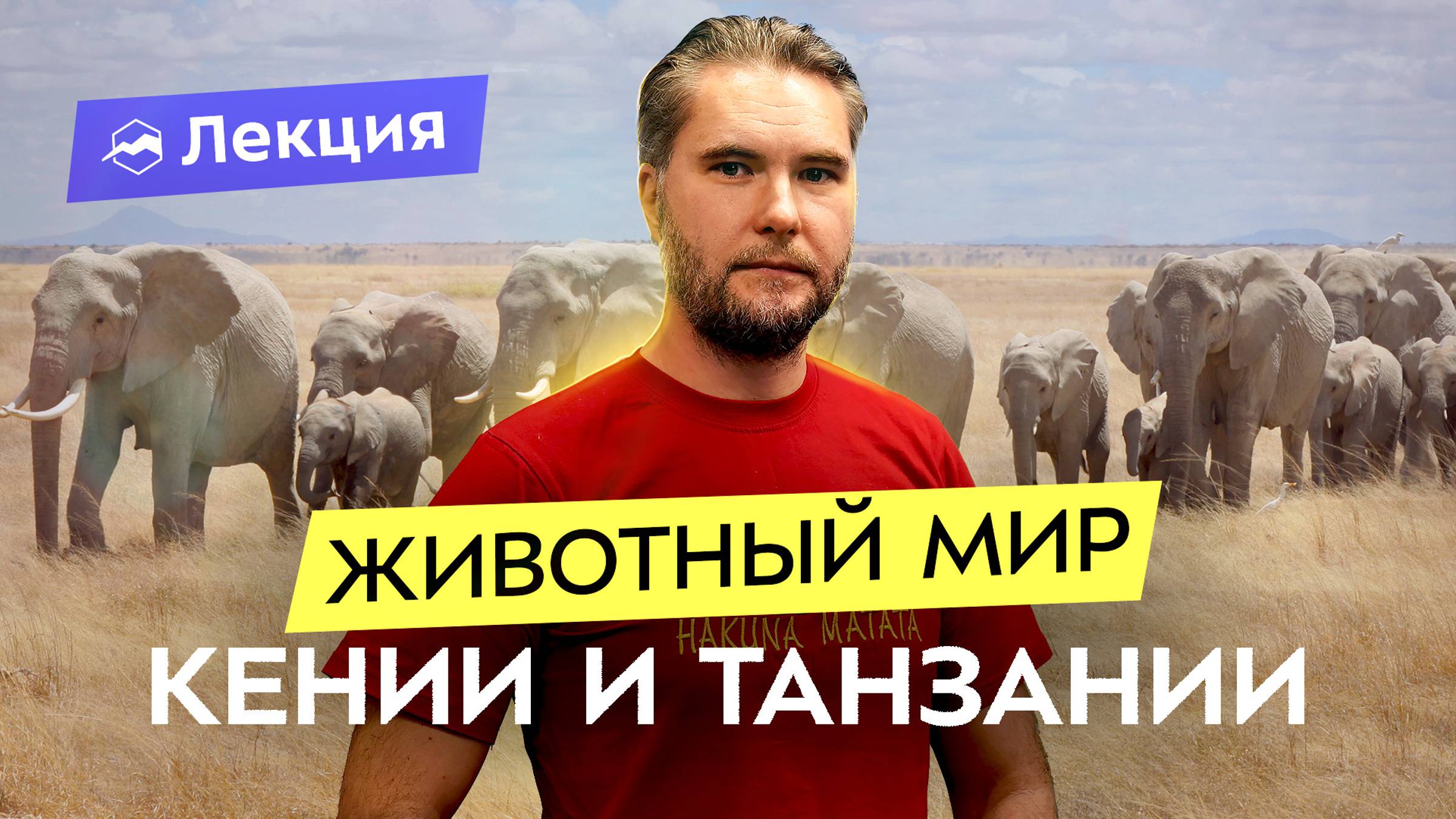 Сафари: красивое и опасное путешествие. Животные Кении и Танзании, уникальная природа смотреть онлайн