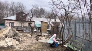 Первые работы в саду | Обработка деревьев | Мусор после зимы