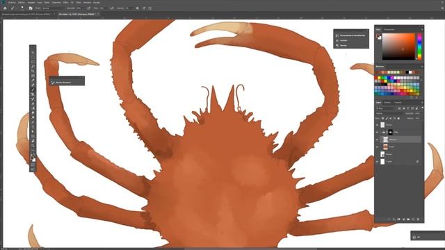 Ilustra Fauna Marina - Color Maja Squinado смотреть онлайн