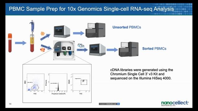 Interrogating the SARS CoV 2 Specific Immune Response with Single Cell Resolution смотреть онлайн