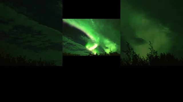 Nature's Spectacular Light Show Paints the Sky in a Dazzling Symphony of Colors #auroraborealis ✨ смотреть онлайн