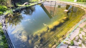 Доступная система очистки воды в пруду.